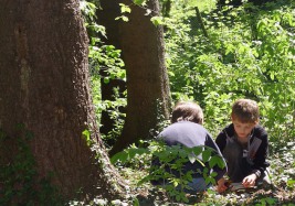 zur Wald-Spielgruppe